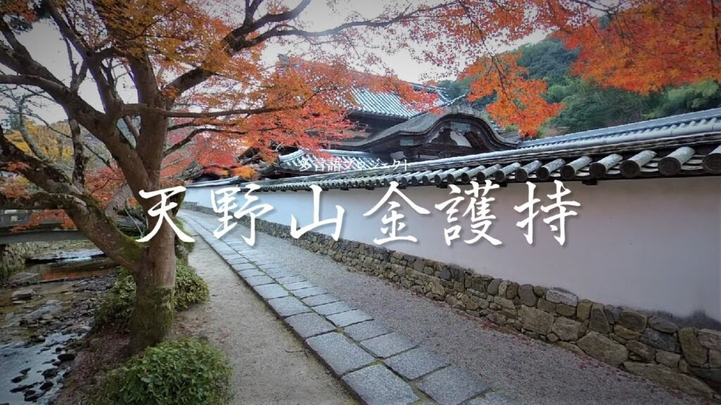 Japanese Heritage Image 5